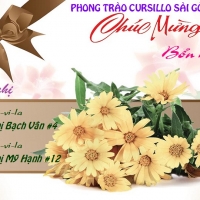 151015_bmteresaavila