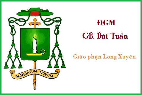 DGMBuiTuan2